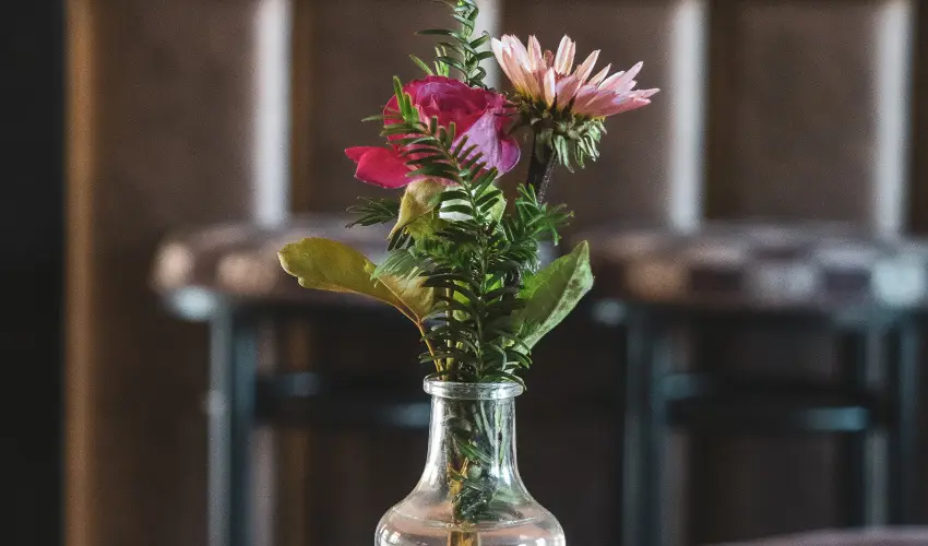 Htkti Wellness Hotel & Lovaspark Mr - Mjus 1.