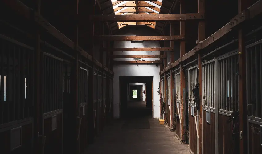 Htkti Wellness Hotel & Lovaspark Mr - Mjus 1.