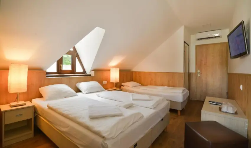 Honti Panzi Visegrd - Mjus 1. (min. 2 j)