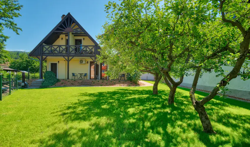 Honti Panzi Visegrd - Mjus 1. (min. 2 j)