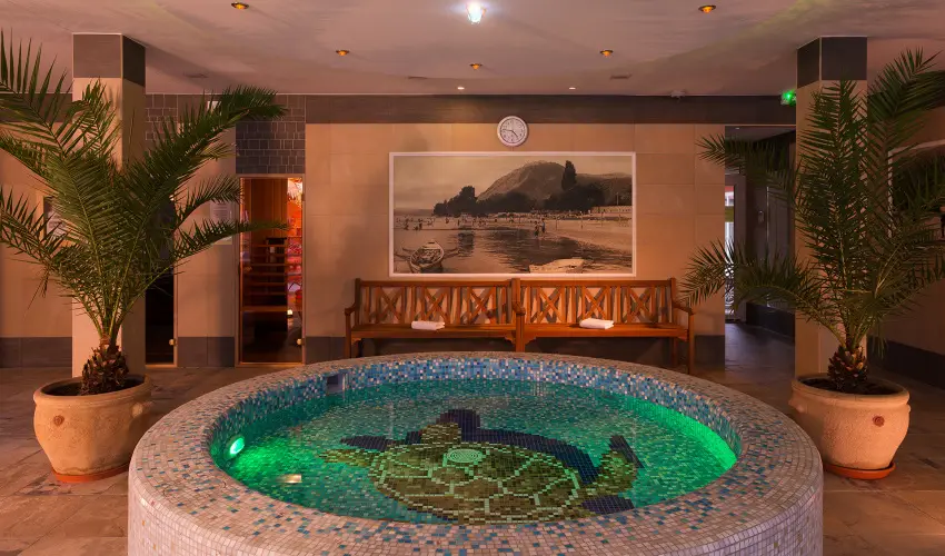 Honti Panzi Visegrd - Mjus 1. (min. 2 j)