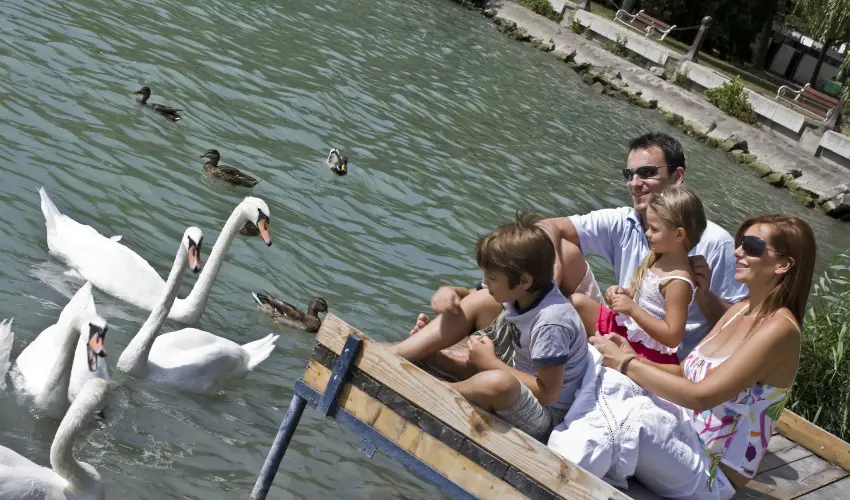 Danubius Hotel Annabella Balatonfred - Mjus 1. 