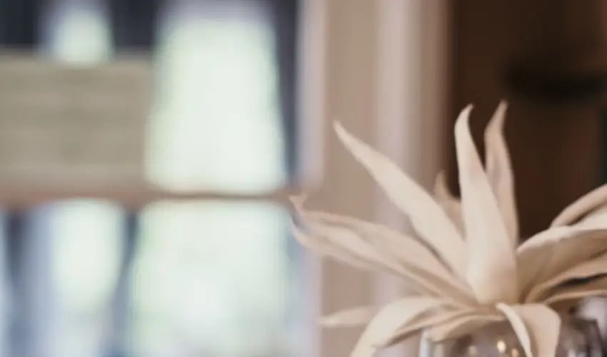 Hotel Arbortum Harkny - Mjus 1. (min. 2 j)