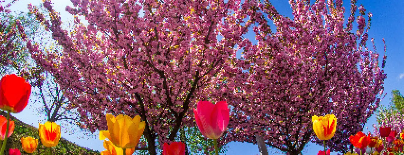 Hunguest Hotel Bke Hajdszoboszl - Mjus 1. (min. 2 j)