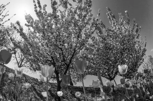 Hunguest Hotel B�ke - M�jus 1.
