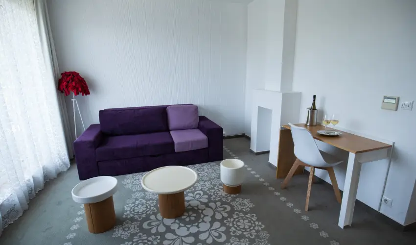 Hotel Bonvino Wine & Spa Badacsony - Mjus 1.