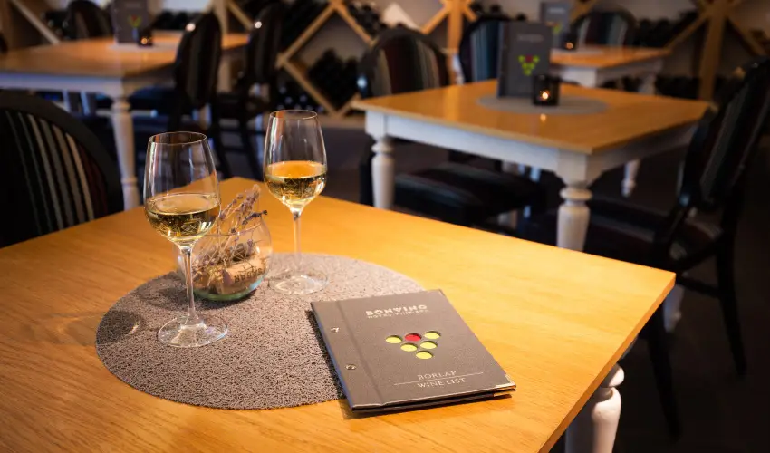 Hotel Bonvino Wine & Spa Badacsony - Mjus 1.