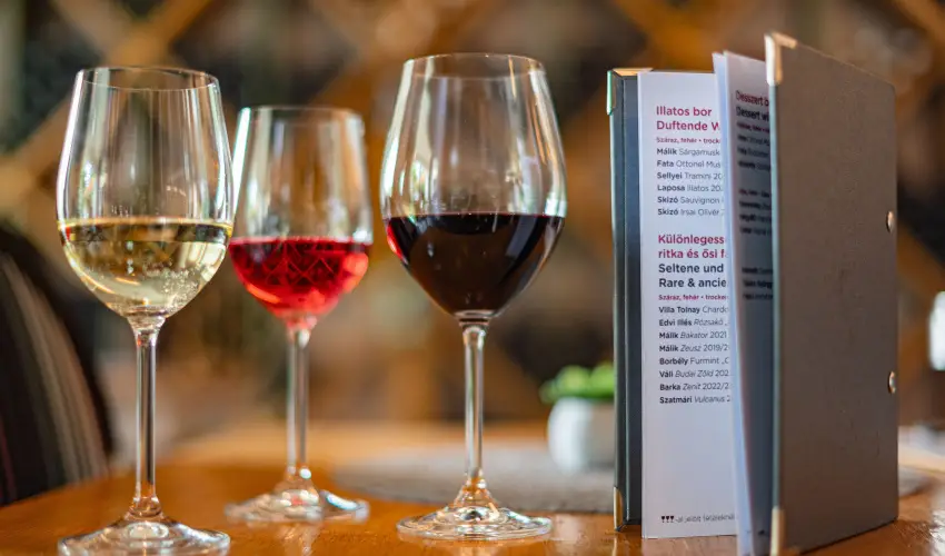 Hotel Bonvino Wine & Spa Badacsony - Mjus 1.