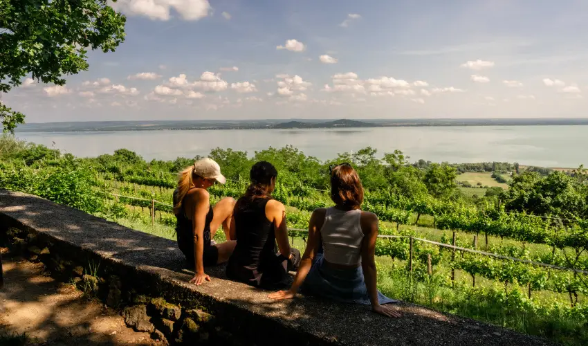 Hotel Bonvino Wine & Spa Badacsony - M�jus 1.