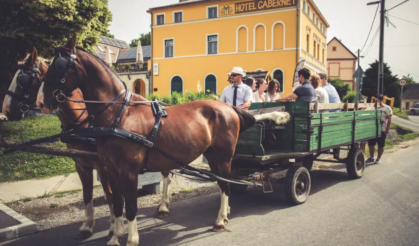 Hotel Cabernet Vill�nyk�vesd - M�jus 1. (min. 3 �j)