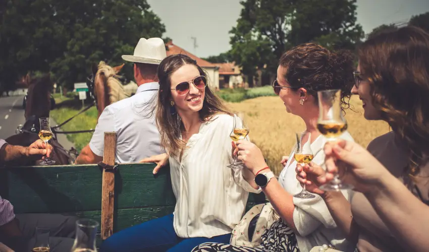 Hotel Cabernet Vill�nyk�vesd - M�jus 1. (min. 3 �j)