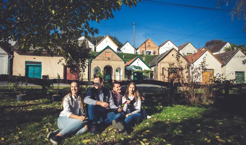 Hotel Cabernet Vill�nyk�vesd - M�jus 1. (min. 3 �j)