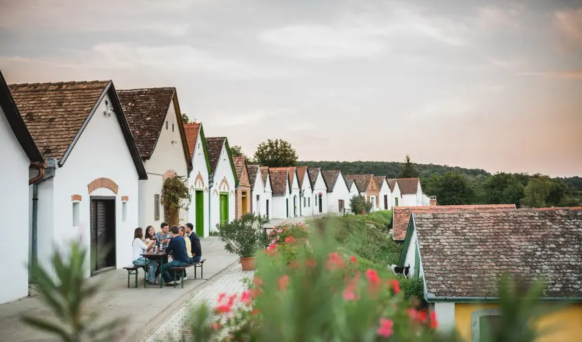 Hotel Cabernet Vill�nyk�vesd - M�jus 1. (min. 3 �j)