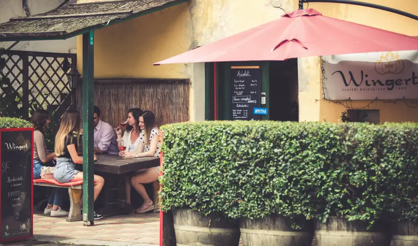 Hotel Cabernet Vill�nyk�vesd - M�jus 1. (min. 3 �j)