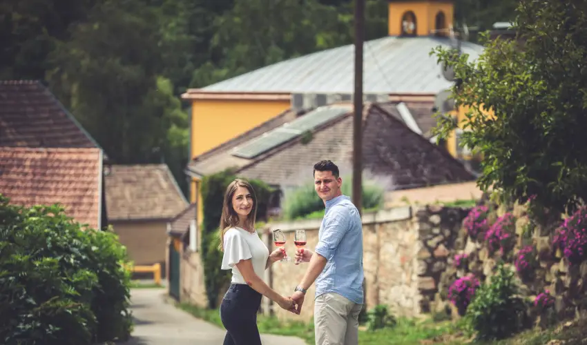 Hotel Cabernet Vill�nyk�vesd - M�jus 1. (min. 3 �j)