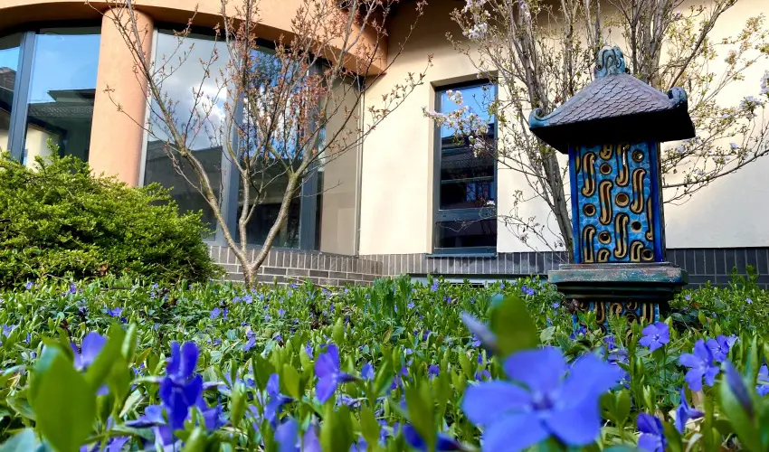 Caramell Premium Resort Bk, Bkfrd - Majlis - teljes elrefizetssel