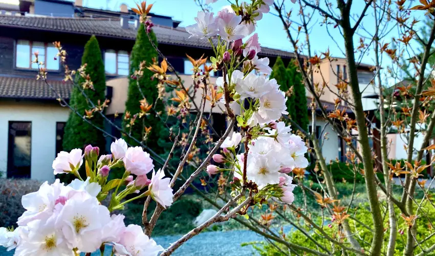 Caramell Premium Resort Bk, Bkfrd - Majlis - teljes elrefizetssel