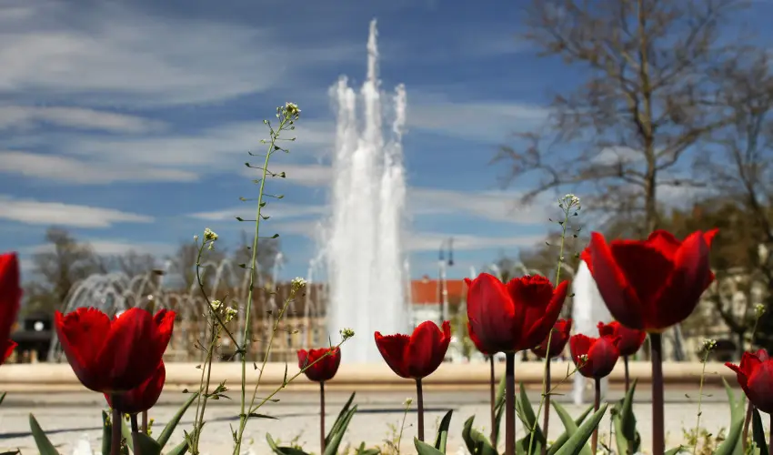 Hotel Centr�l Nagykanizsa - M�jus 1.