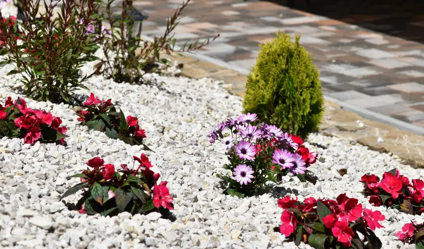 Hotel Forr�s Zalakaros Zalakaros - M�jus 1.