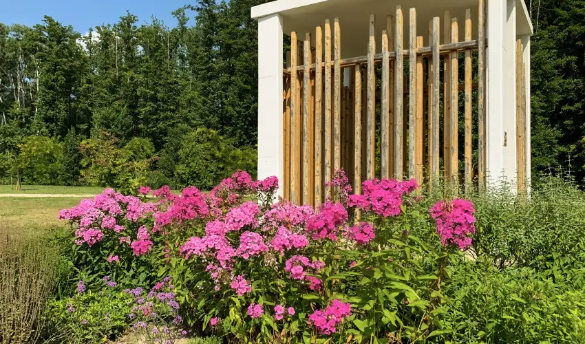 Hunguest Hotel Freya Zalakaros - M�jus 1. (min. 2 �j)