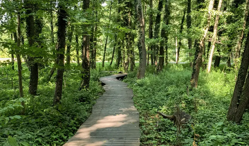 Hunguest Hotel Freya Zalakaros - M�jus 1. (min. 2 �j)