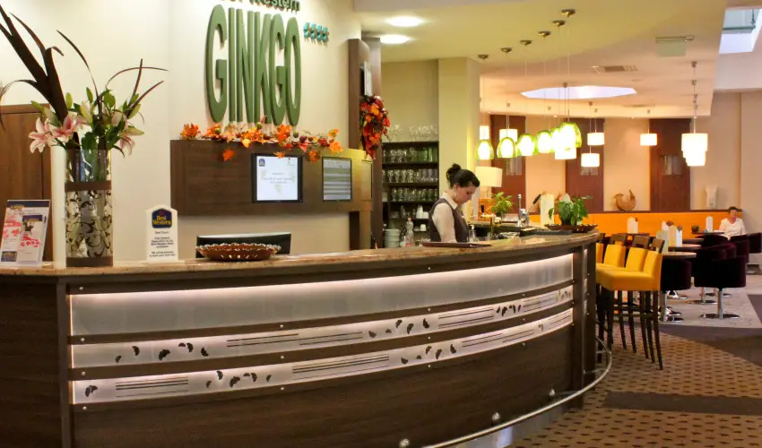 Hotel Ginkgo Hdmezvsrhely - Mjus 1. 