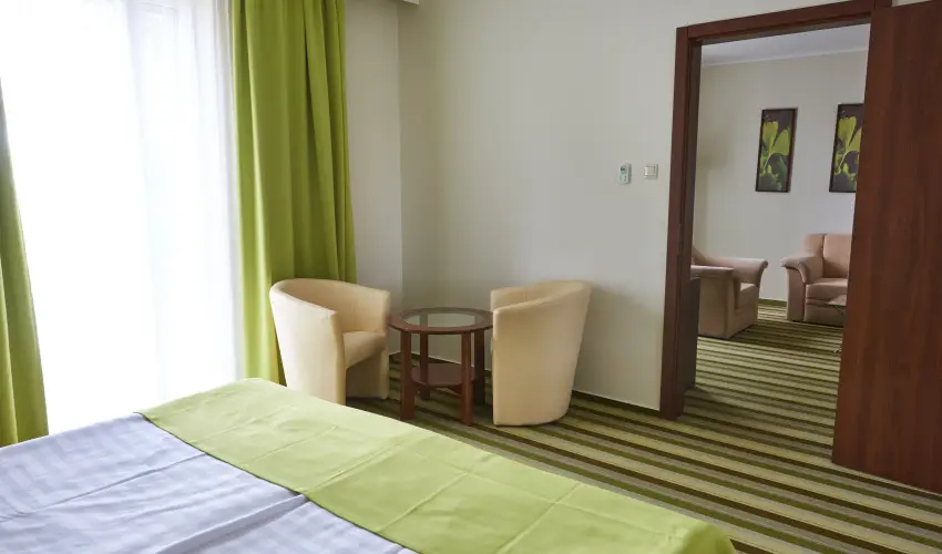 Hotel Ginkgo Hdmezvsrhely - Mjus 1. 