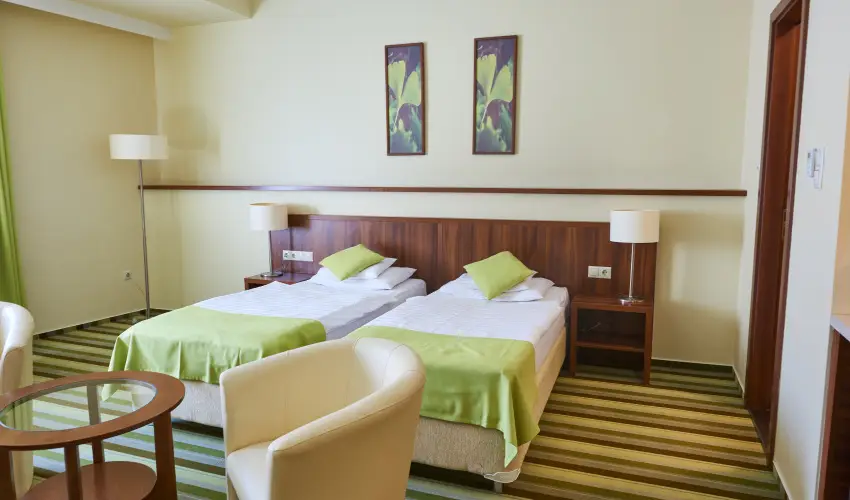 Hotel Ginkgo Hdmezvsrhely - Mjus 1. 