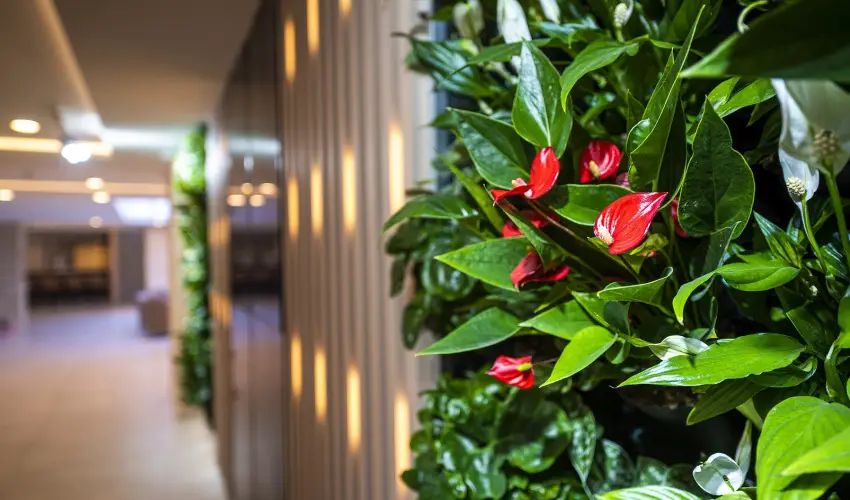 Greenfield Hotel Golf & Spa Bk, Bkfrd - Mjus 1. (min. 2 j)