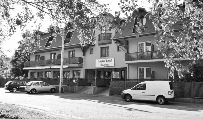Hajnal Hotel Mez�k�vesd - M�jus 1.