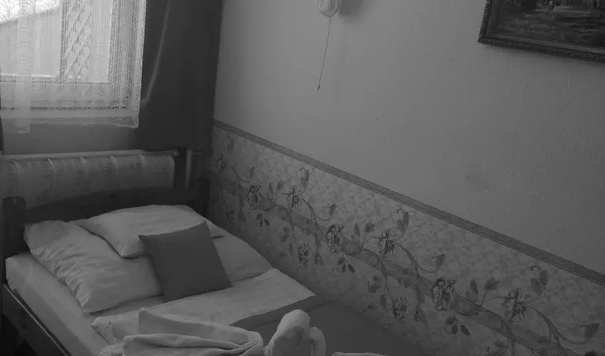 Hajnal Hotel Mez�k�vesd - M�jus 1.