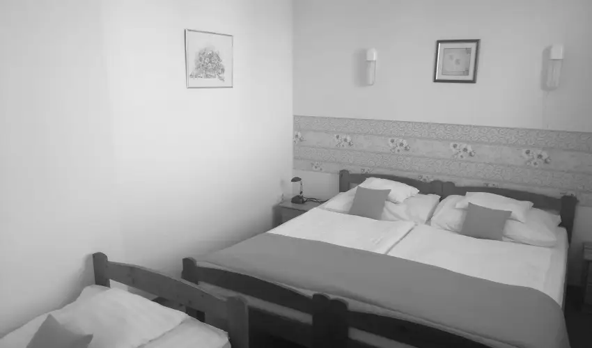 Hajnal Hotel Mez�k�vesd - M�jus 1.