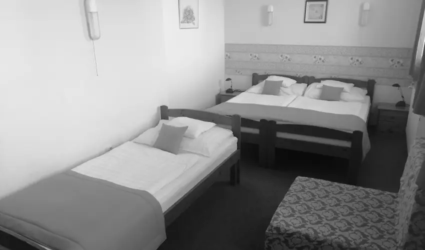 Hajnal Hotel Mez�k�vesd - M�jus 1.