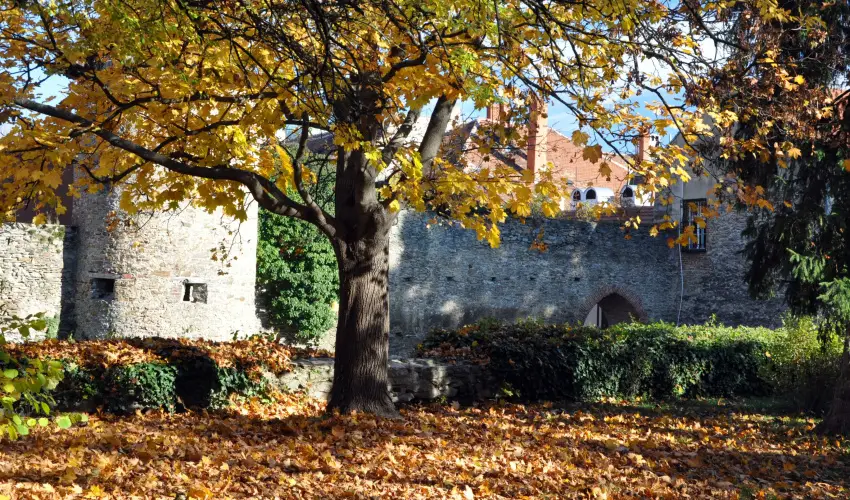 Hotel rottk Kszeg - Mjus 1. (min. 2 j)