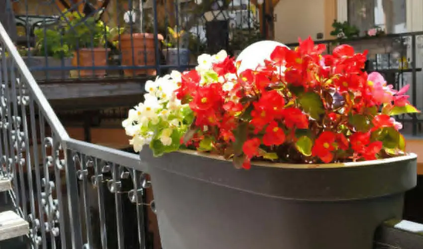 Hotel Isabell Gy�r - M�jus 1.