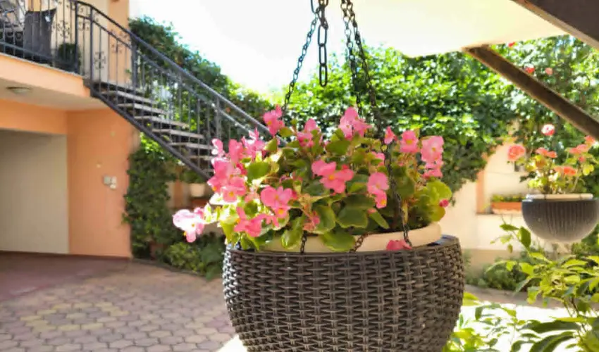 Hotel Isabell Gy�r - M�jus 1.