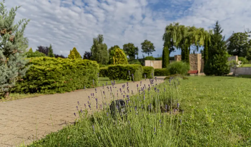 Hotel Karos Spa Zalakaros - Mjus 1. (min. 2 j)