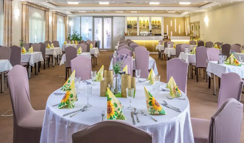 Hotel Kiss Tata - Mjus 1.