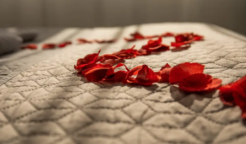 Kristly Hotel Keszthely - Mjus 1.