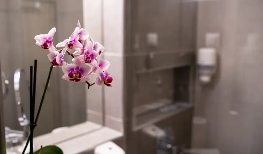 Hotel Margarta Balatonfred - Majlis (min. 2 j)