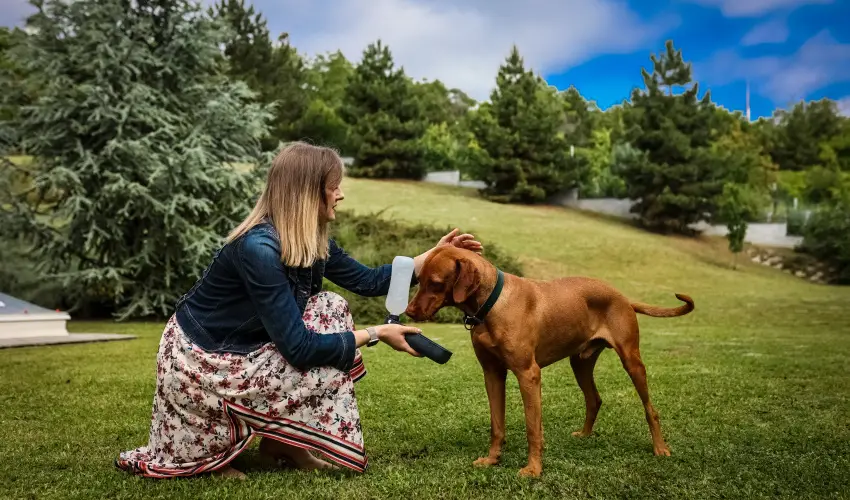 Sndor Hotel Pcs - Mjus 1. 