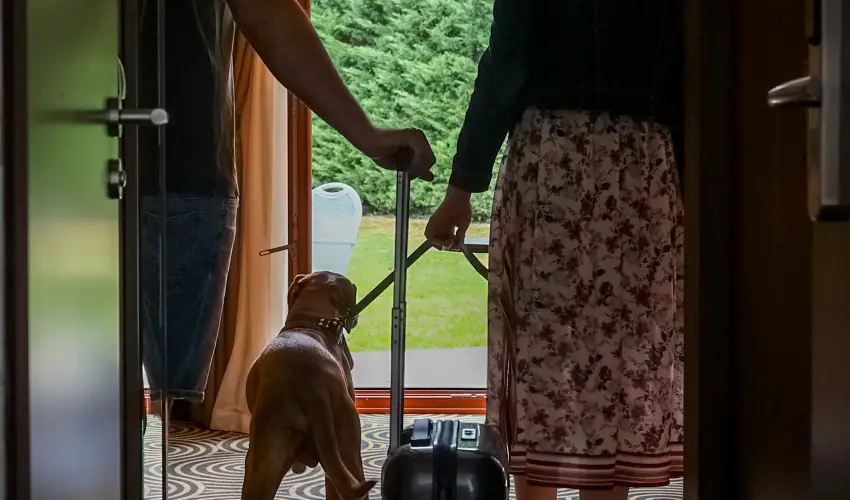 Sndor Hotel Pcs - Mjus 1. 