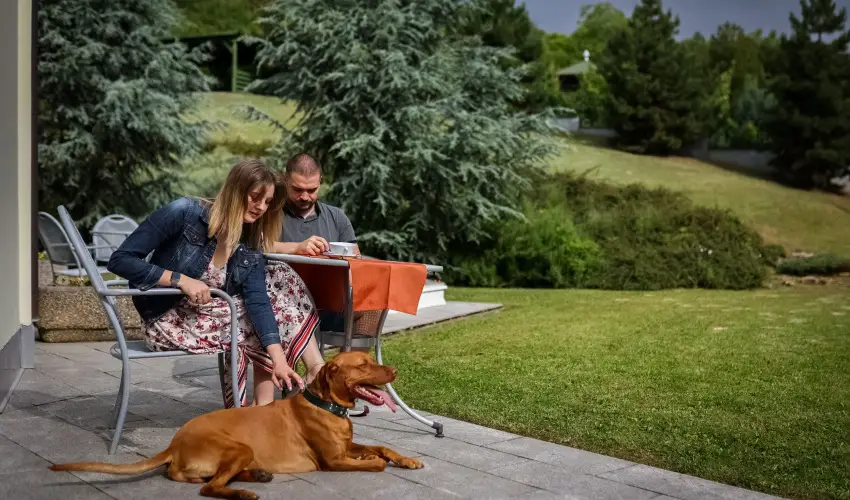 Sndor Hotel Pcs - Mjus 1. 