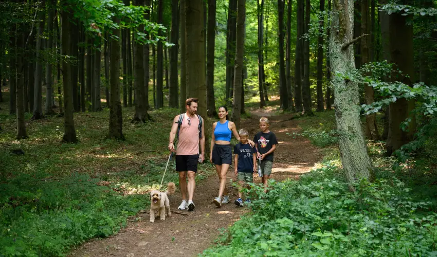 Hotel Nard Mtraszentimre - Majlis (min. 2 j)