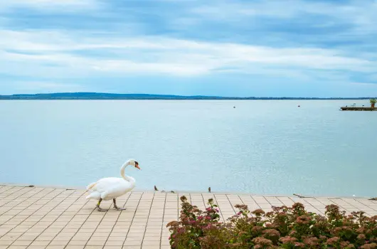 Hotel Ovit - Termszetkzeli Majlis a Balaton s Hvz tallkozsnl (min. 2 j)