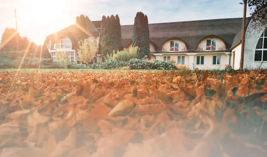 Hotel Ovit Keszthely - Termszetkzeli Majlis a Balaton s Hvz tallkozsnl (min. 3 j)