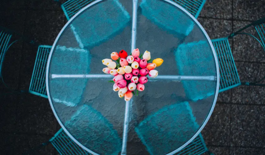 Hotel Ovit Keszthely - Termszetkzeli Majlis a Balaton s Hvz tallkozsnl (min. 3 j)