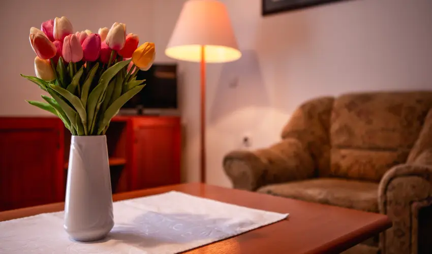 Hotel Ovit Keszthely - Termszetkzeli Majlis a Balaton s Hvz tallkozsnl (min. 3 j)