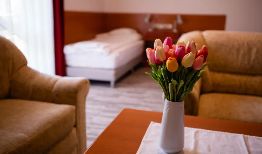 Hotel Ovit Keszthely - Termszetkzeli Majlis a Balaton s Hvz tallkozsnl (min. 3 j)