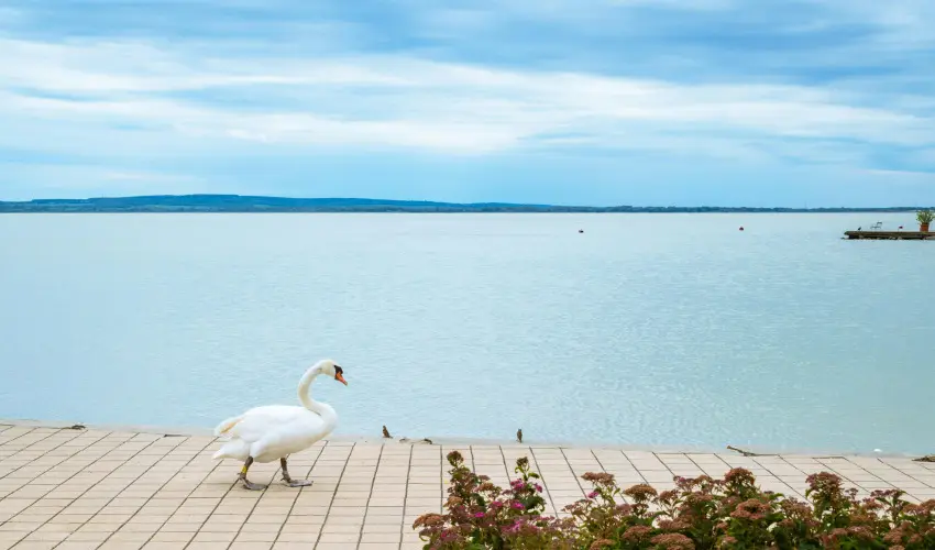 Hotel Ovit Keszthely - Termszetkzeli Majlis a Balaton s Hvz tallkozsnl (min. 3 j)